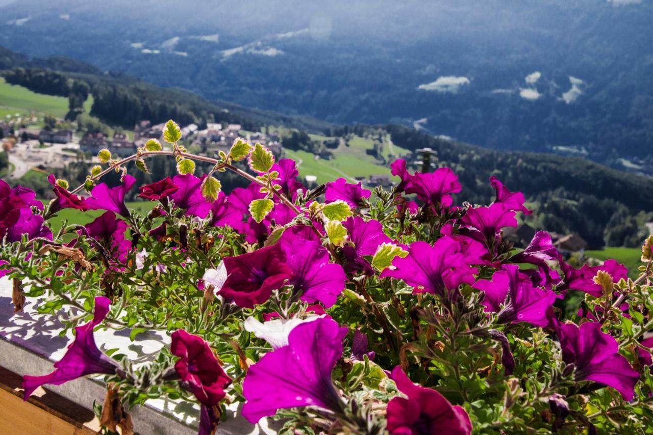 Perchnerhof Lägenhet Terenten Exteriör bild